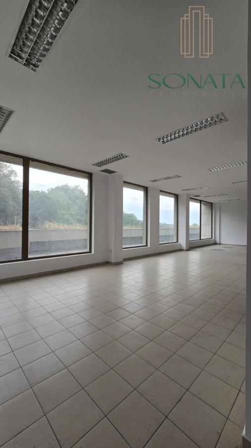 Odličan lokal od 183m2, Teodora Drajzera